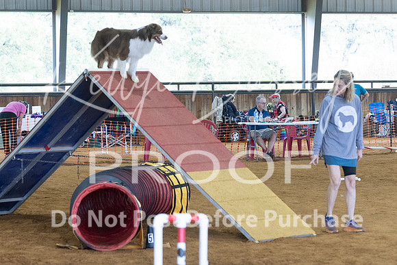 KBP_4595
