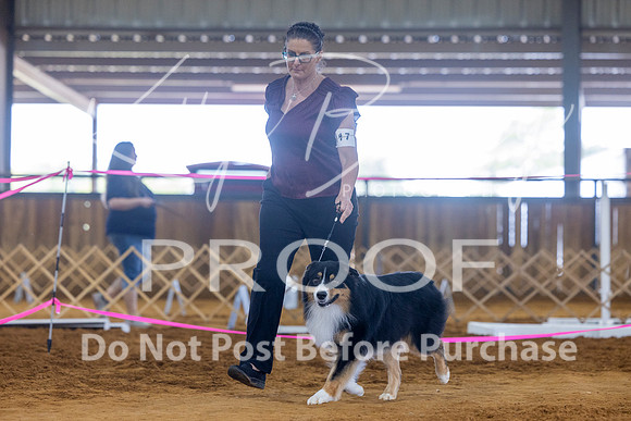 KBP_4748