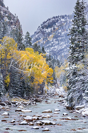 Animas River - Change of Seasons