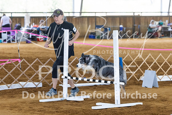 KBP_4697