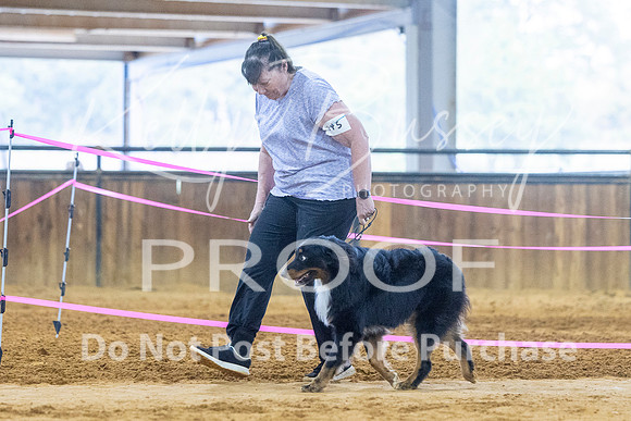 KBP_3666