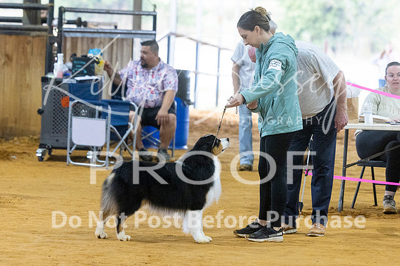 KBP_3711