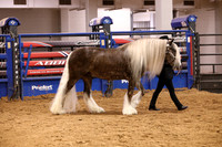 KSB11529