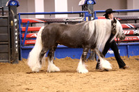 KSB11531