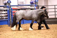 KSB11528