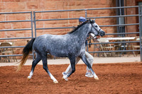 KSB_8291