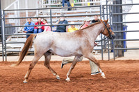 KSB_8301