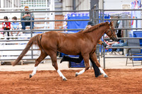 KSB_8310