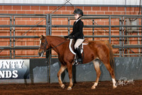 253 A Hunter Seat Eq on the Flat 12  under