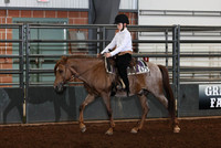 263 & 264 Rider Opportunity Working & Conf. WP