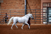 KSB_8633