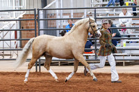 KSB_8524