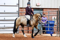 122 Ridden Welsh Classic Sec. C/D Jr/Adult