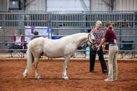 KSB_8677