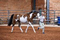 KSB_8700
