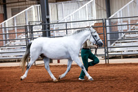 KSB_8664