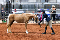 KSB_8666