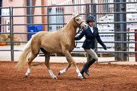 KSB_8672