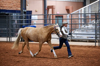 KSB_8695