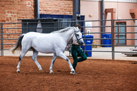 KSB_8662