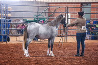 KSB_8001