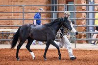 KSB_8244