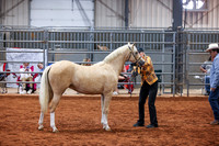 KSB_8229