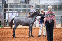KSB_8251