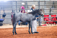 KSB_8262