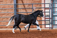 KSB_8219