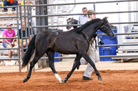 KSB_8247
