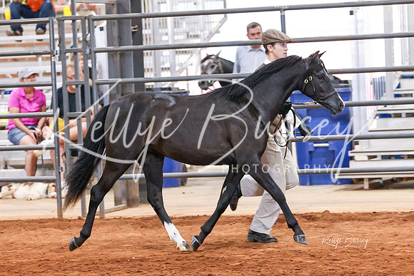 KSB_8247-Edit