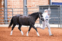 KSB_7838