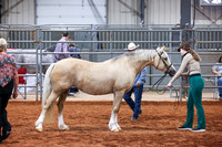 065 & 265 Section C Mares 5 & Over