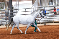 KSB_8322