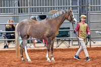 KSB_8335