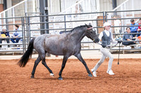 KSB_8344