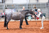 KSB_8339