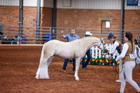 KSB_7750