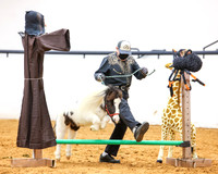 KBR57637