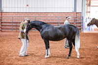 KSB_8286