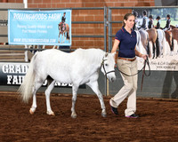 125 Section A, 3 & 4 Year Old Mares