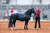 KSB_8638