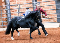 KSB_8641