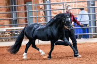KSB_8639