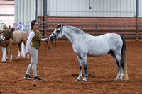 KSB_8581