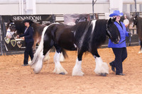 KSB_0528
