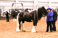 KSB_0530