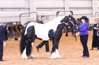 KSB_0520