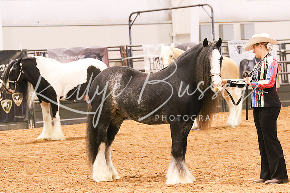 KSB_0539